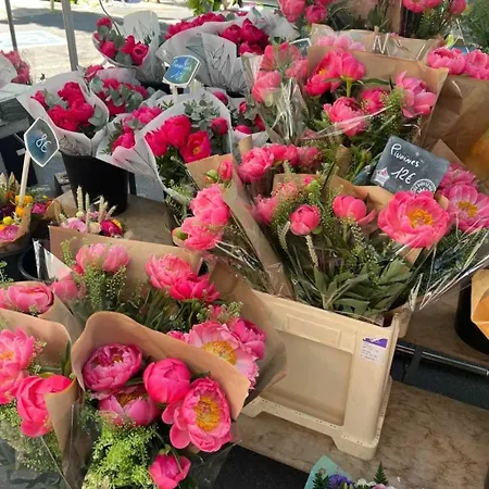 3 Etoiles - Piscine - Ccbbhca * Pezenas